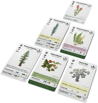 Reforest — tabletop game for sale at Vending Machine Games — view 2