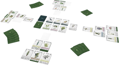 Reforest — tabletop game for sale at Vending Machine Games — view 3